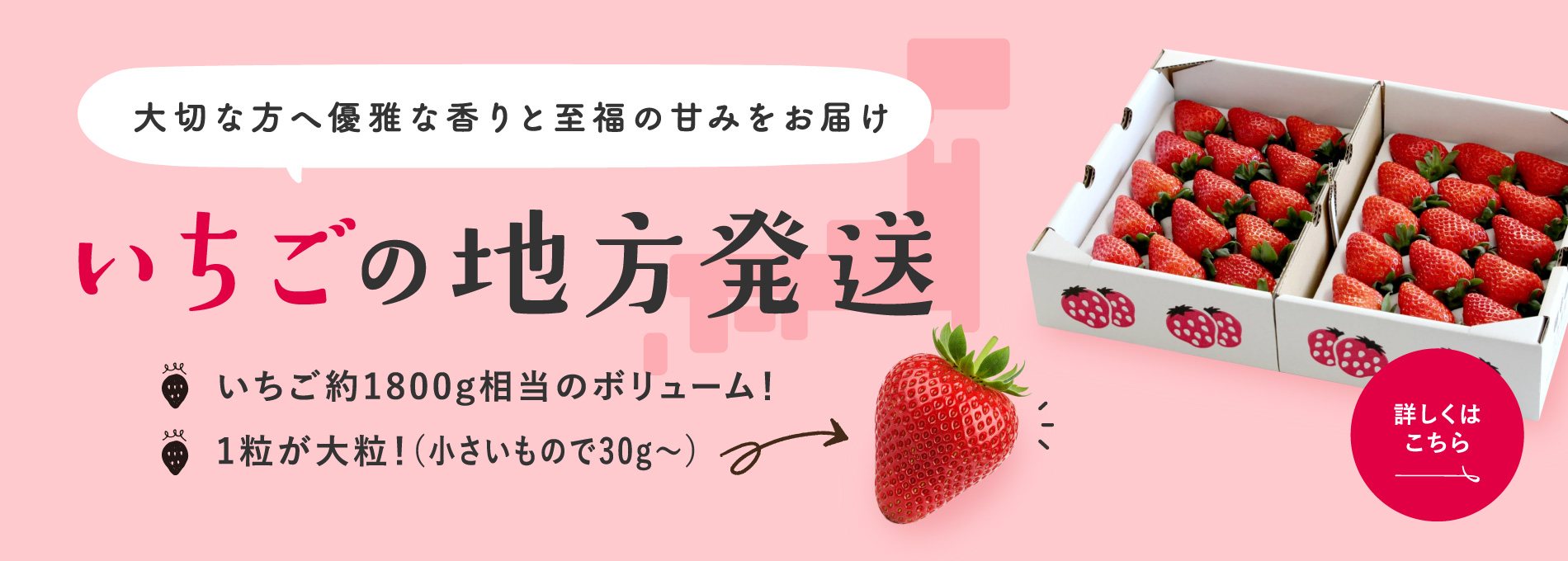 いちごオート 福島産とちおとめ 250g×4パック | 【公式】JAふくしま未来のお