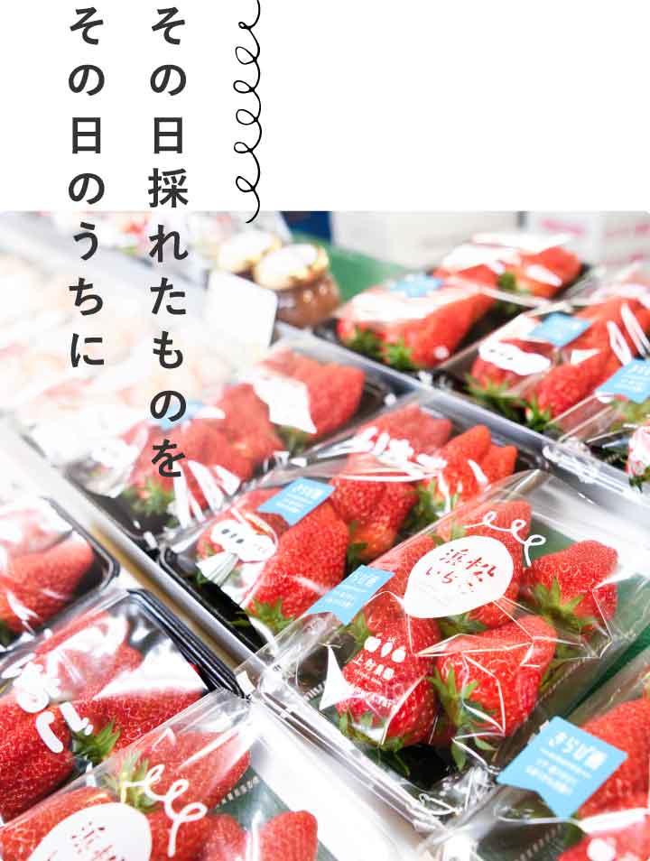 その日採れたものをその日のうちに