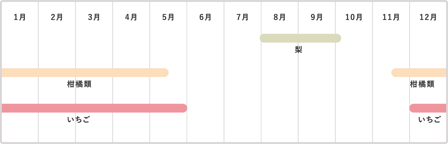 販売カレンダー