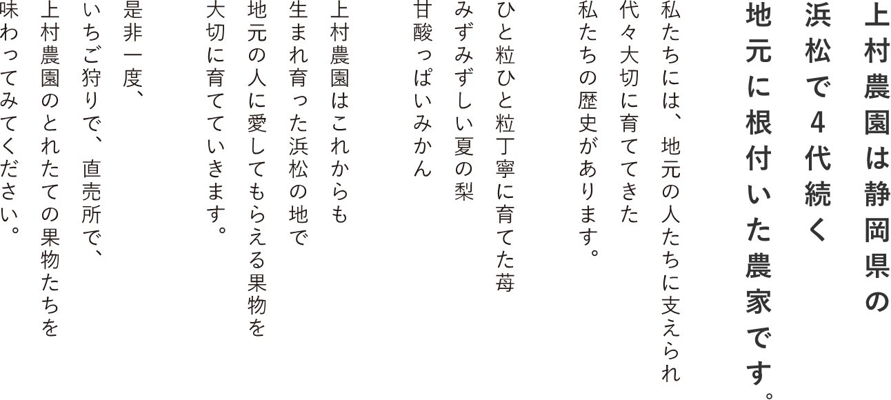 上村農園は静岡県の浜松で４代続く地元に根付いた農家です　私たちには、地元の人たちに支えられ代々大切に育ててきた私たちの歴史があります。ひと粒ひと粒丁寧に育てた苺みずみずしい夏の梨甘酸っぱいみかん上村農園はこれからも生まれ育った浜松の地で地元の人に愛してもらえる果物を大切に育てていきます。是非一度、いちご狩りで、直売所で、上村農園のとれたての果物たちを味わってみてください。