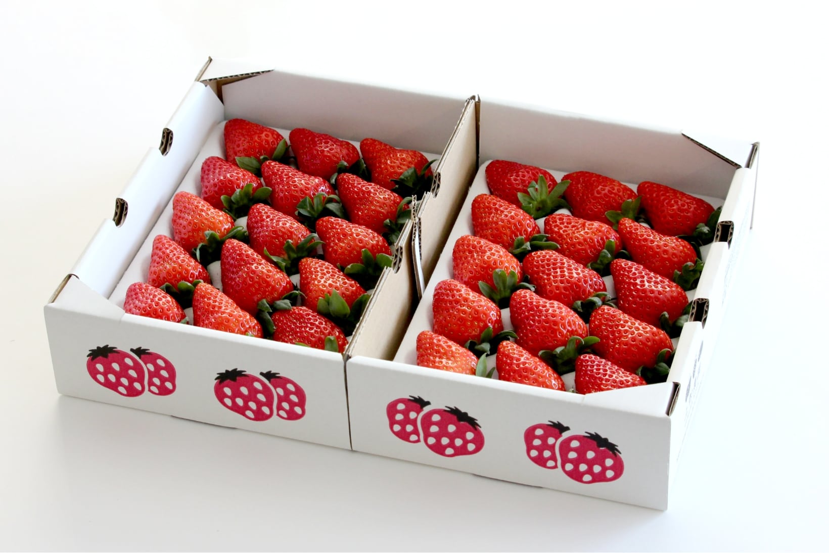 36cm✕26cm 1箱(2トレー入り)
